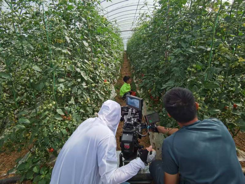 荆州区产品宣传视频拍摄公司进阶指南，助力品牌抢占传播高地
